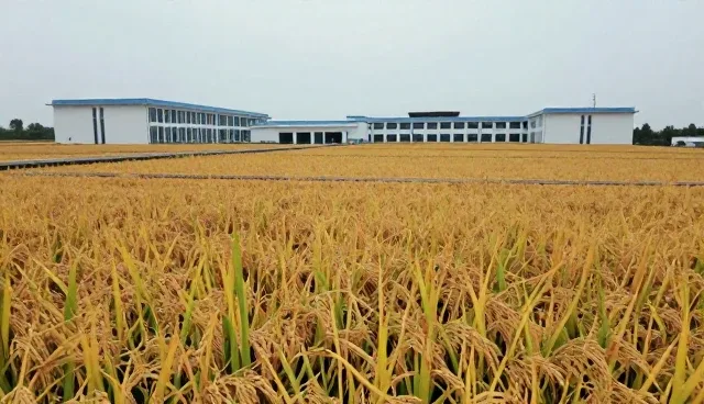 基地合作选型关注点，如何提升合作效果