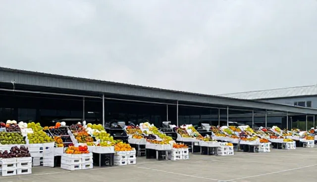 农产品销售中的性能分析:适用场景与限制条件