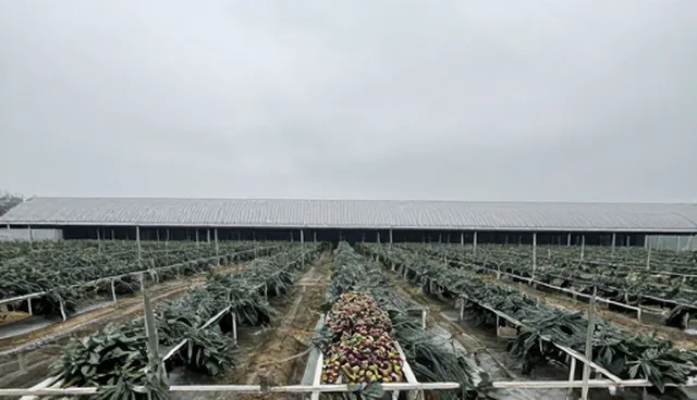 基地合作中温度变化的适用情况与限制分析